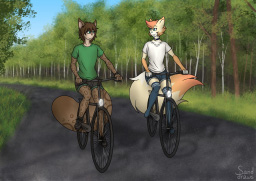 Bike Trip
