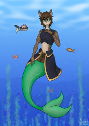 Feesh